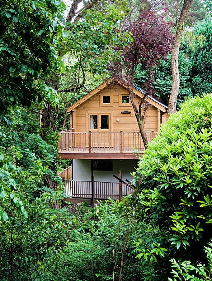 Вилла Alum Chine Log Cabin Борнмут Экстерьер фото
